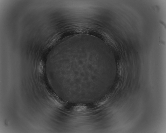 X0000091890266200709191223