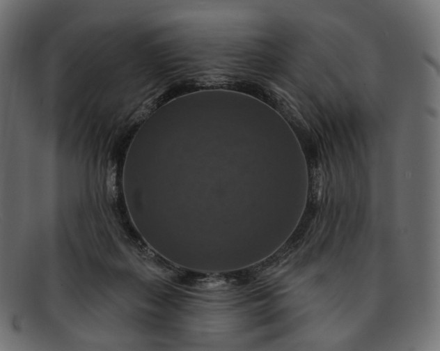 X0000091890267200709191223