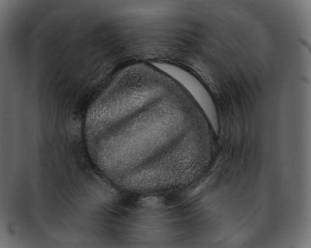 X0000091890269200709191223