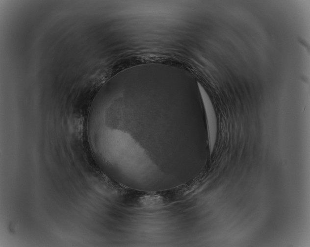 X0000091890271200709191223