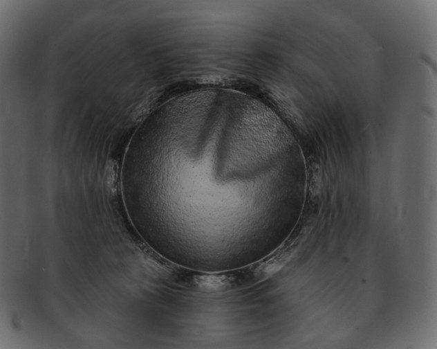 X0000091890273200709191223