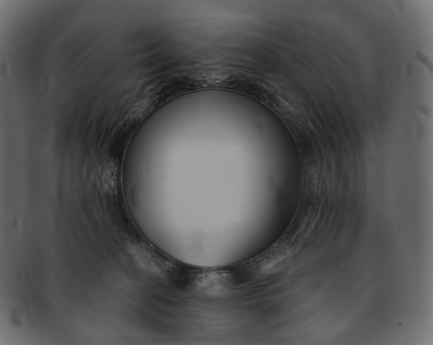 X0000091890274200709191223