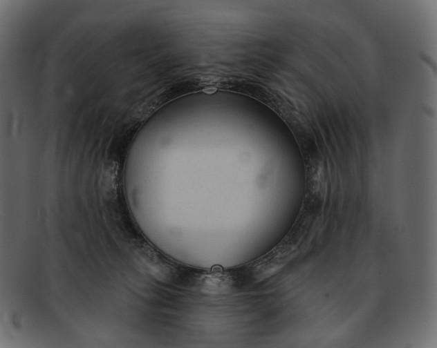 X0000091890275200709191223