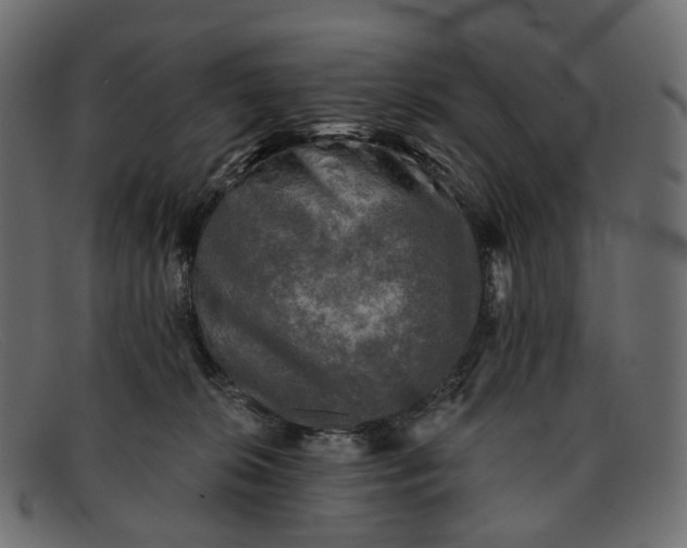 X0000091890276200709191223