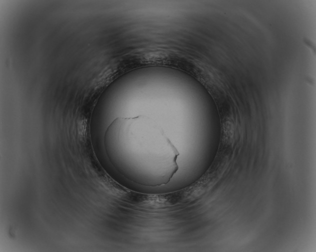 X0000091890278200709191223