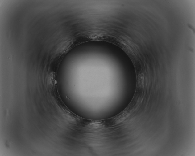 X0000091890280200709191223