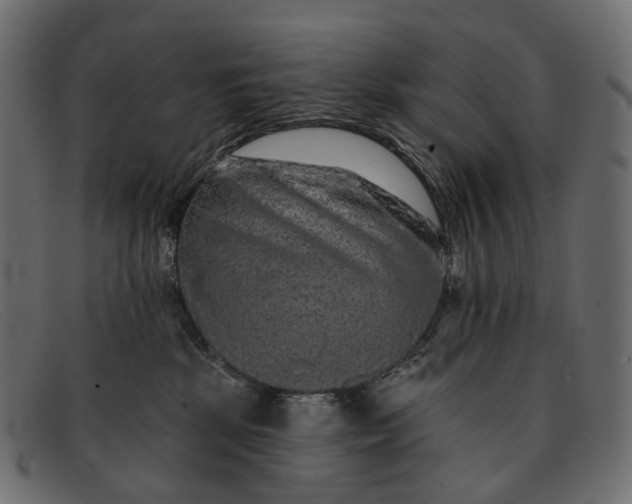 X0000091890281200709191223