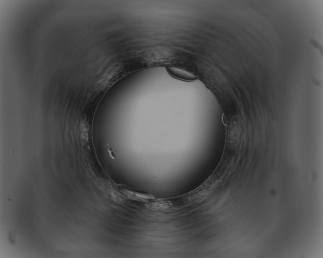 X0000091890282200709191223