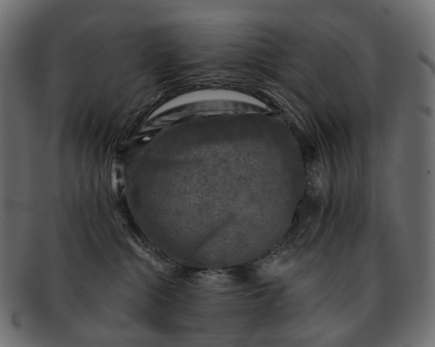 X0000091890284200709191223