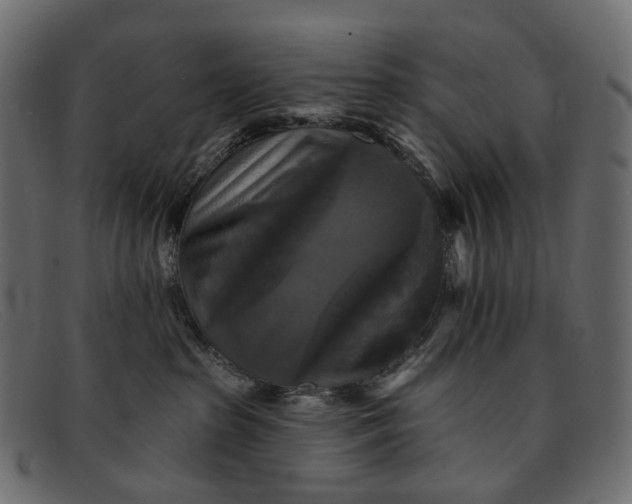 X0000091890285200709191223