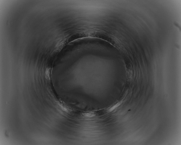 X0000091890286200709191223