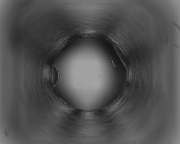 X0000091890287200709191223