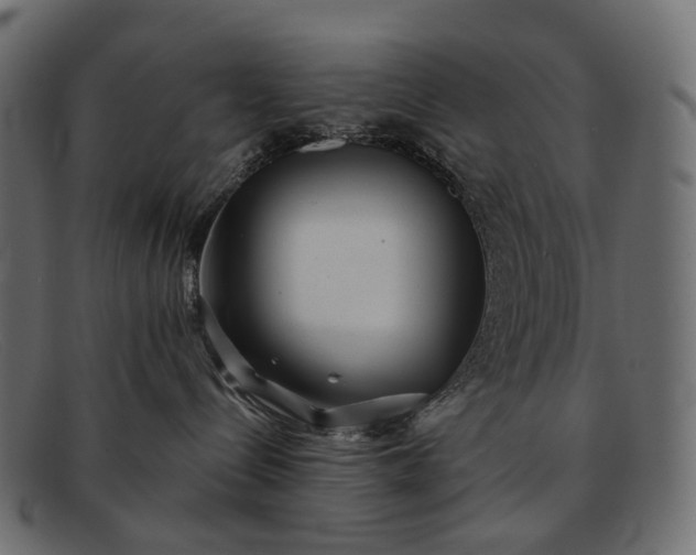 X0000091890288200709191223