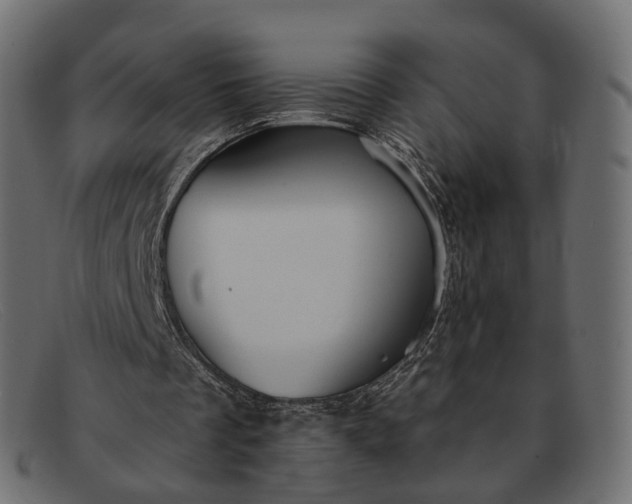 X0000091890289200709191223