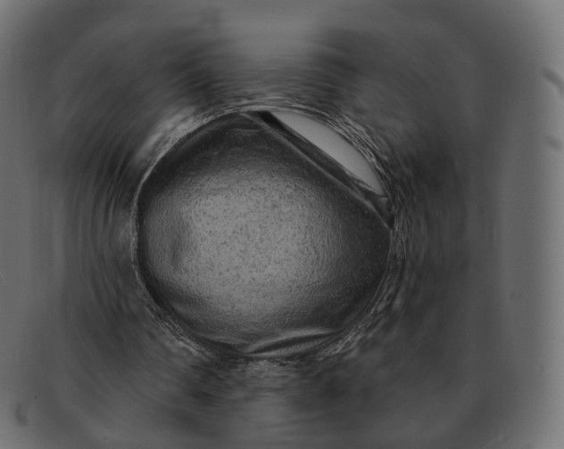 X0000091890290200709191223
