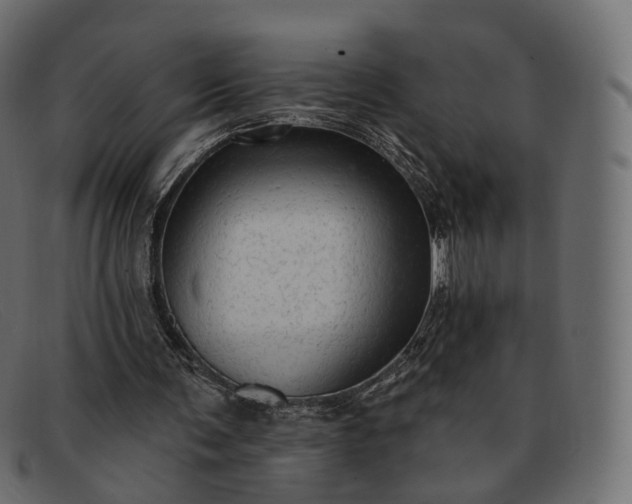 X0000091890291200709191223