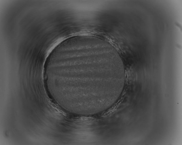 X0000091890292200709191223