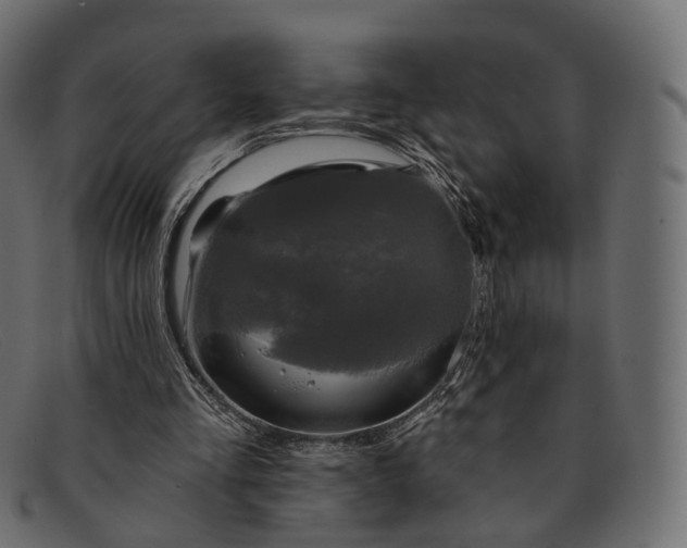 X0000091890293200709191223