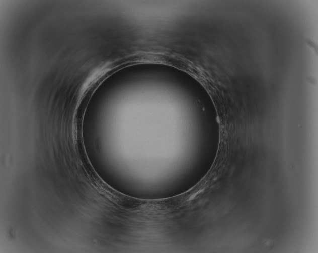 X0000091890294200709191223