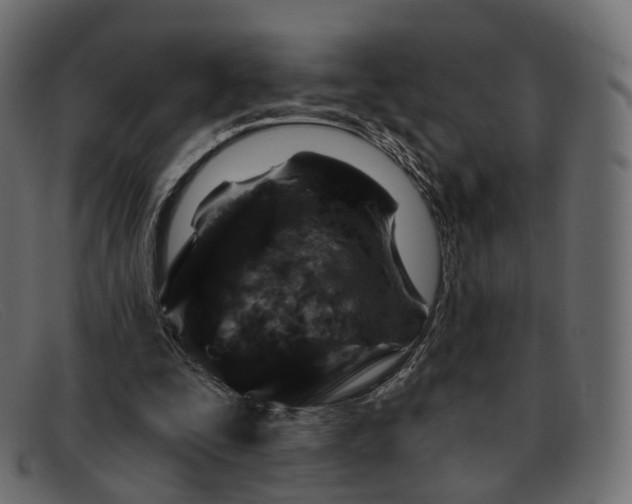 X0000091890295200709191223