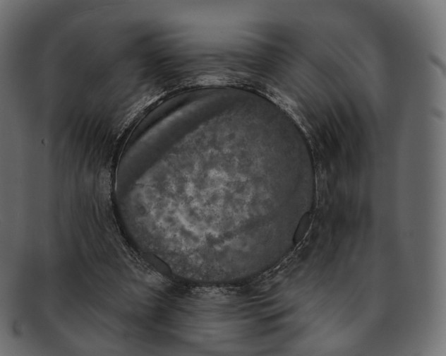 X0000091890297200709191223