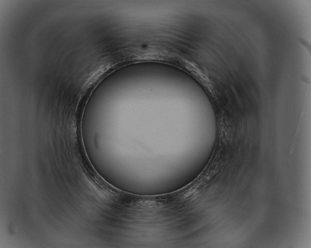 X0000091890298200709191223
