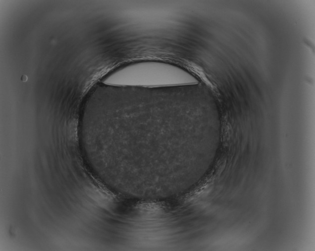X0000091890299200709191223