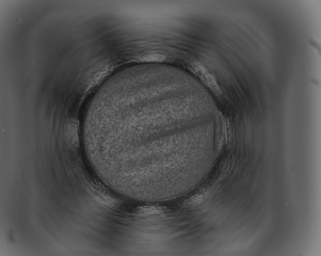 X0000091890300200709191223