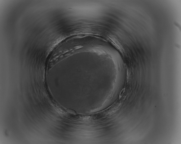 X0000091890301200709191223