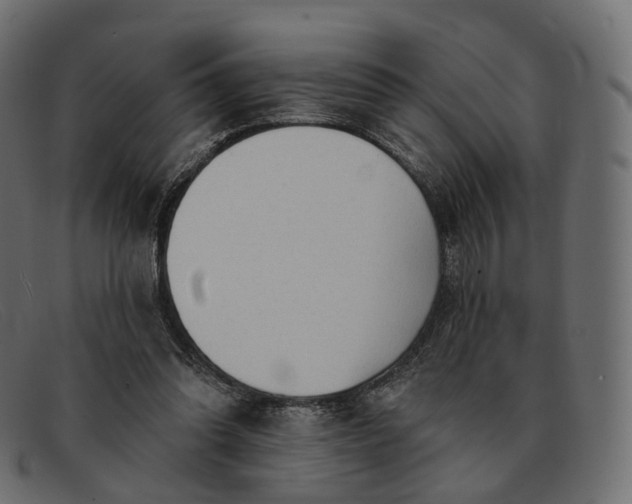 X0000091890302200709191223
