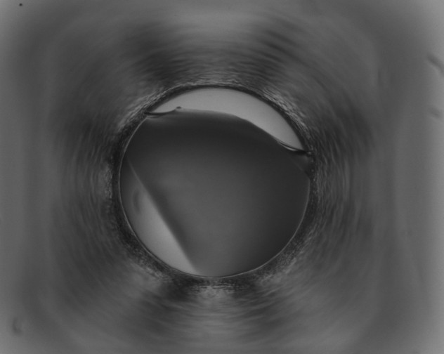 X0000091890303200709191223