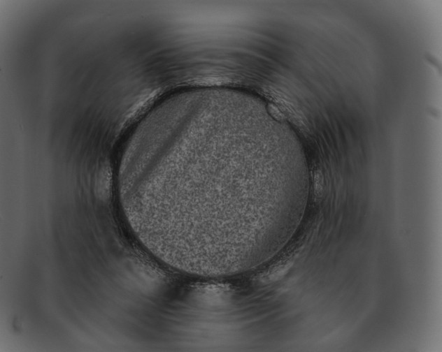 X0000091890304200709191223