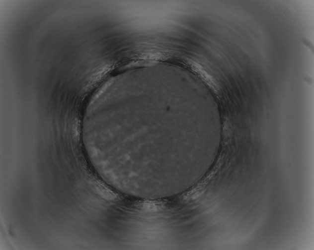 X0000091890305200709191223