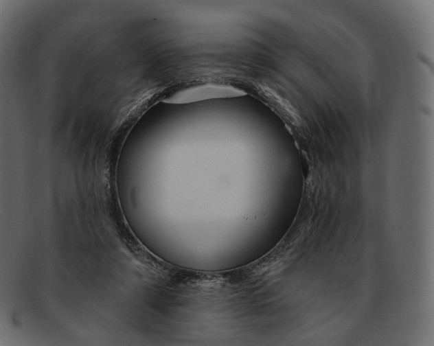 X0000091890306200709191223