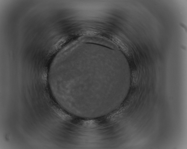 X0000091890309200709191222