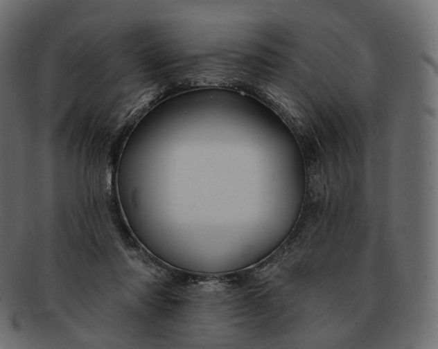 X0000091890310200709191222