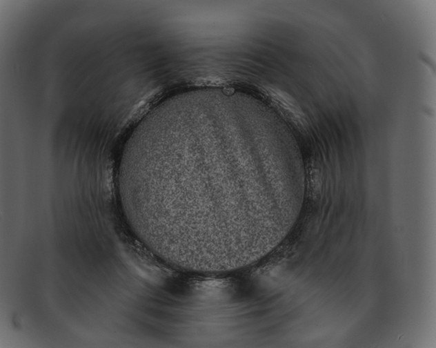 X0000091890312200709191222