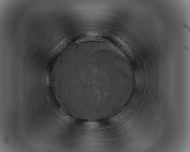 X0000091890313200709191222