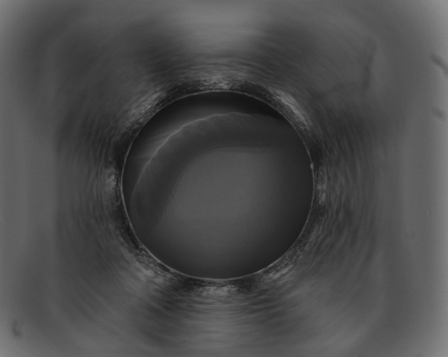 X0000091890314200709191222
