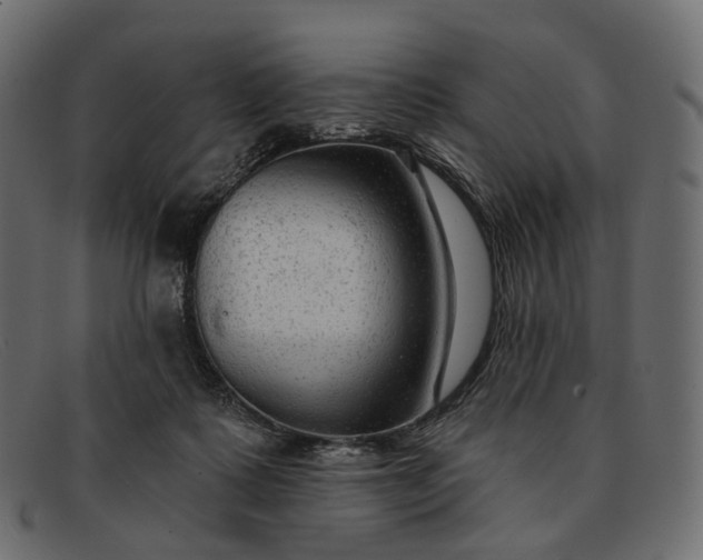 X0000091890315200709191222