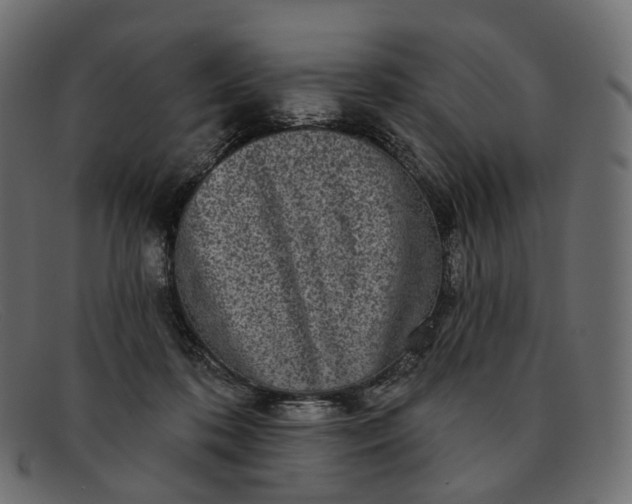 X0000091890316200709191222