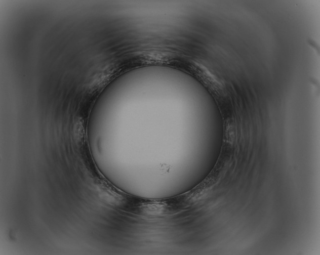 X0000091890318200709191222