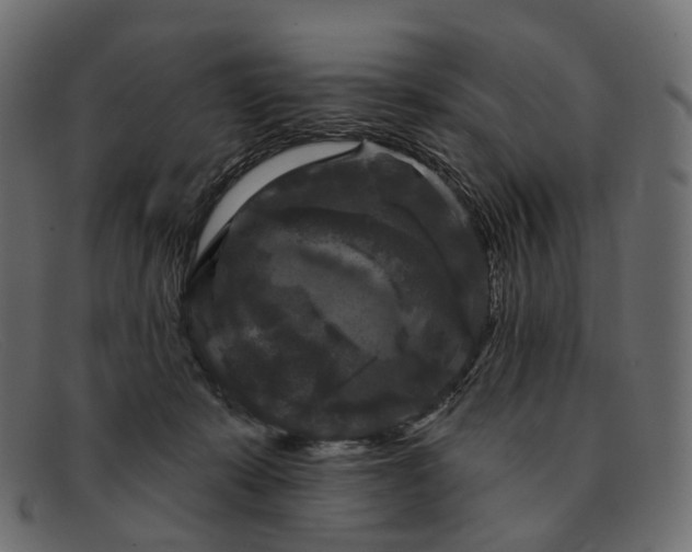 X0000091890319200709191222