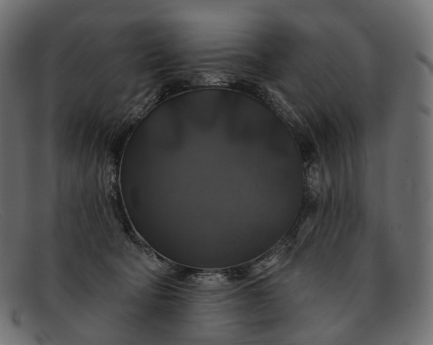 X0000091890322200709191222