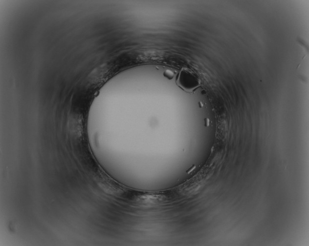 X0000091890323200709191222