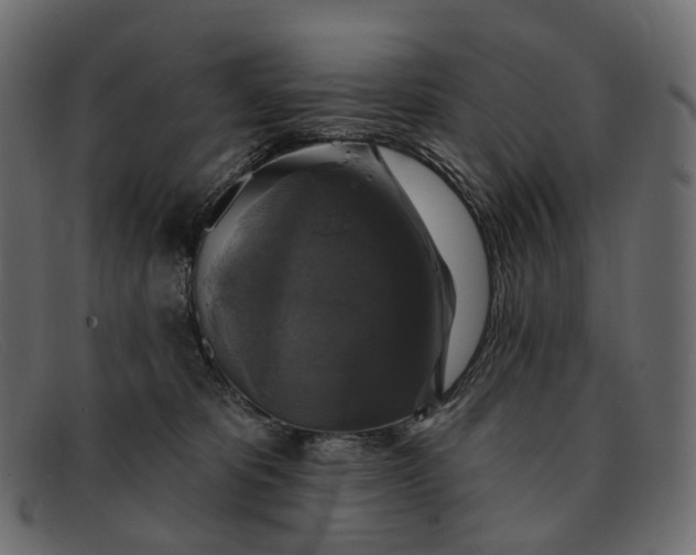 X0000091890325200709191222