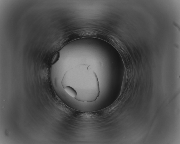 X0000091890326200709191222