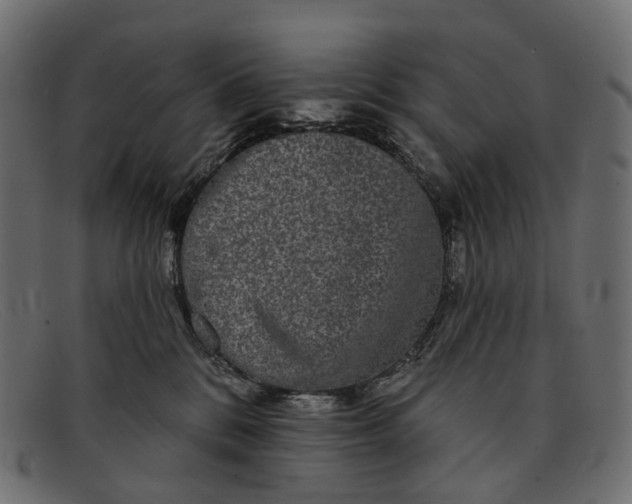 X0000091890328200709191222