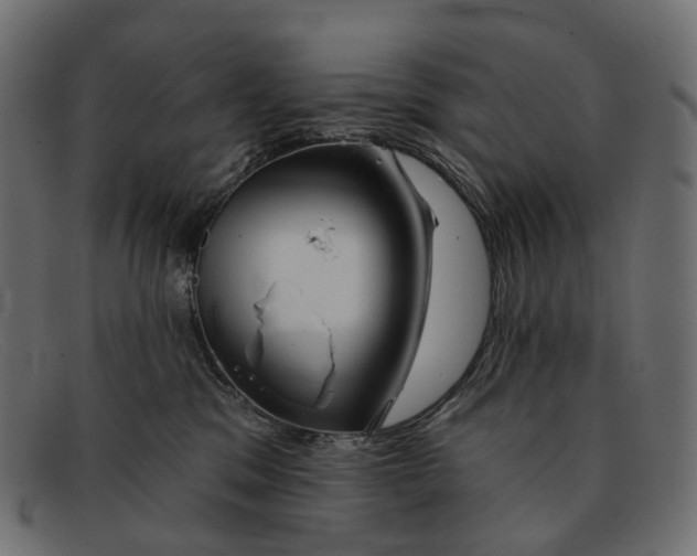 X0000091890329200709191222