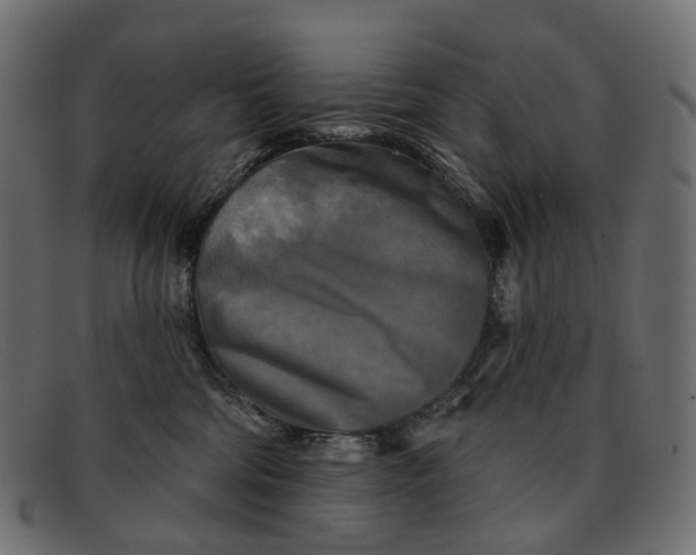 X0000091890330200709191222